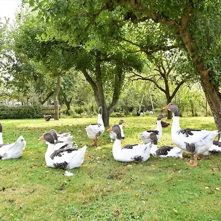 Fabelhaftes In In Meeresnaehe Thorstorf